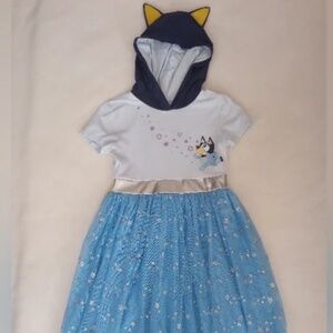 In Search Of (ISO) this Bluey dress in girls size 14-16